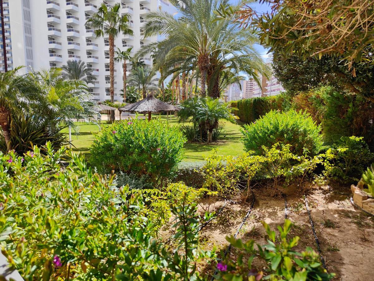 Ferienwohnung Solo Familias Gemelos 26 Benidorm Exterior foto